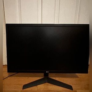 1080p LG gaming monitor.